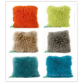 for your selection stylish Pure Tibet Lamb Fur Cushions